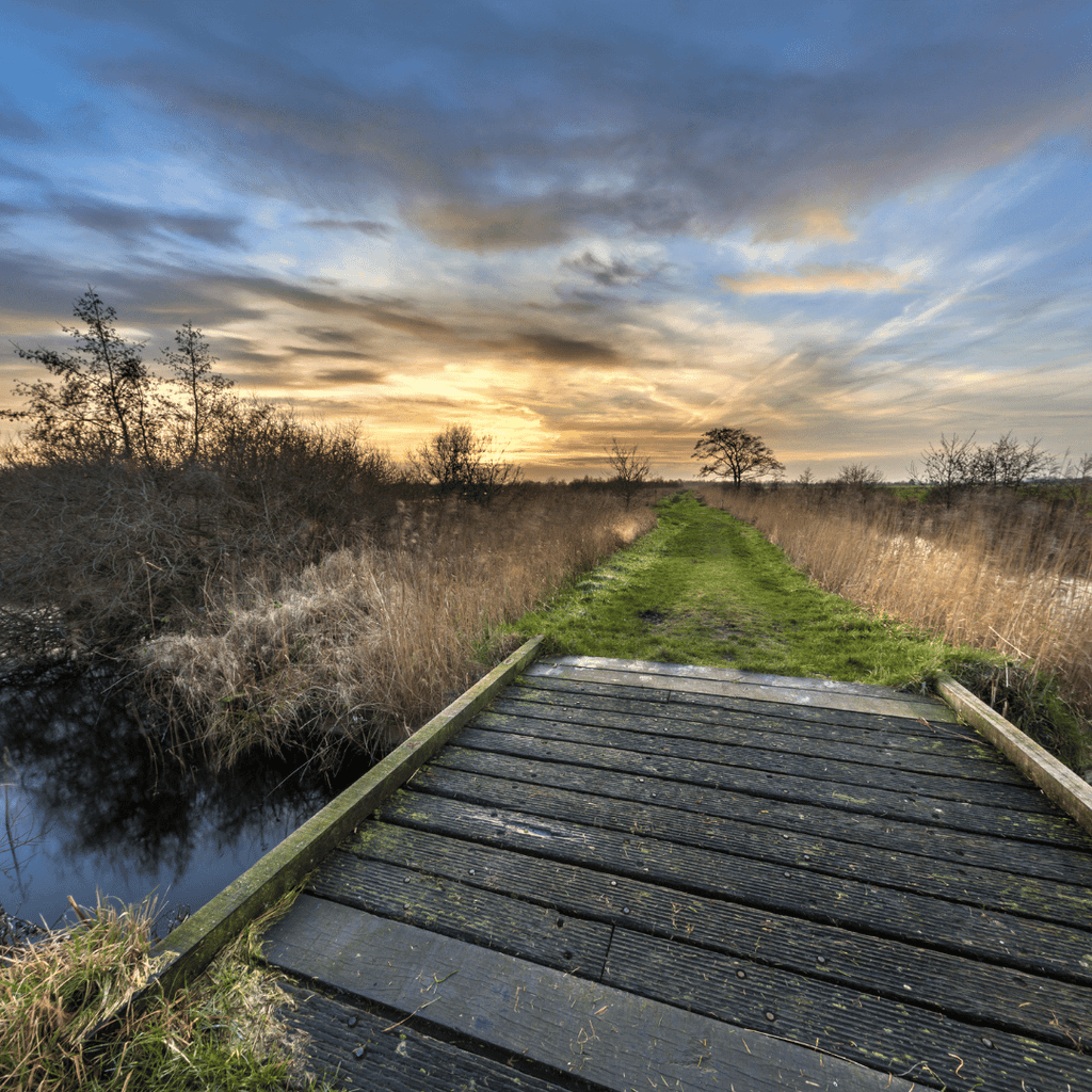 Projectplan omgevingsplan Heerenveen door Sherpa